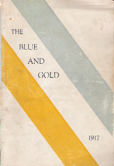 The Blue and Gold - 1917 yearbook cover for Linden Lake High School